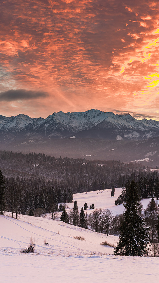 Widok na  tatry